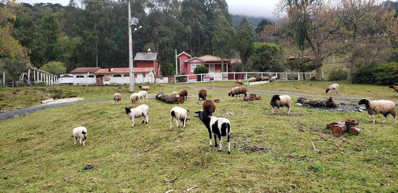 Casa Campo Yurt 3 Aconchego Tenda Mongolica Wifi Urubici Eksteriør billede